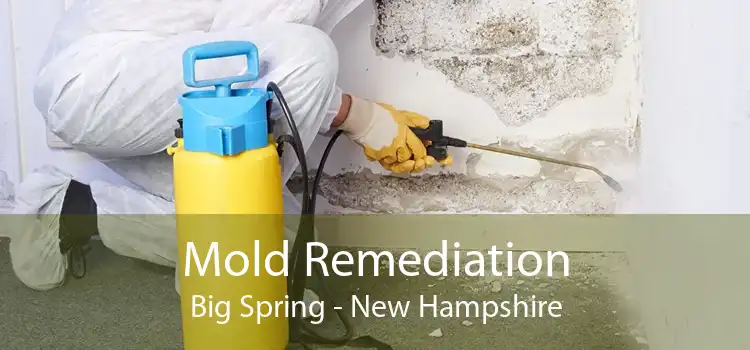 Mold Remediation Big Spring - New Hampshire