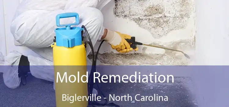 Mold Remediation Biglerville - North Carolina