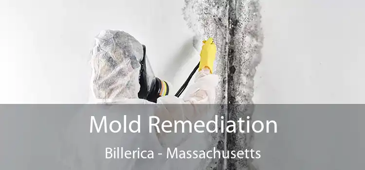 Mold Remediation Billerica - Massachusetts