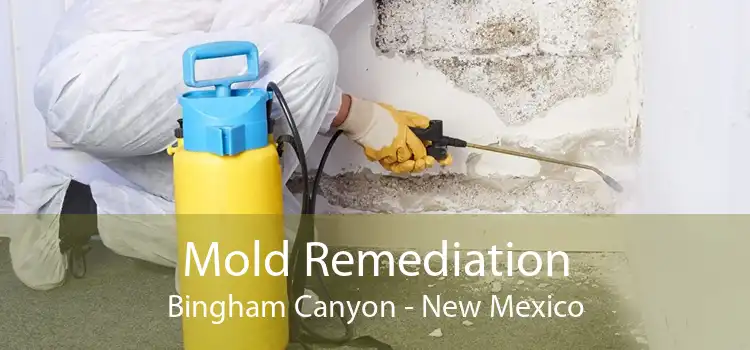Mold Remediation Bingham Canyon - New Mexico
