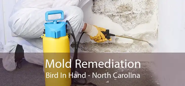 Mold Remediation Bird In Hand - North Carolina