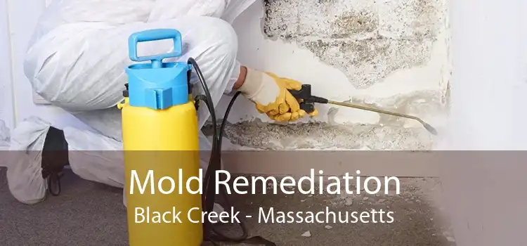 Mold Remediation Black Creek - Massachusetts