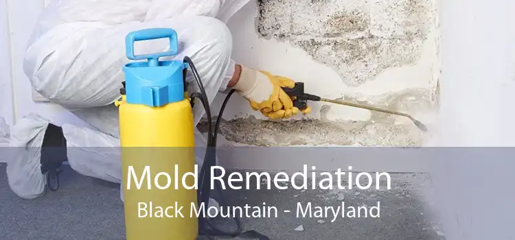 Mold Remediation Black Mountain - Maryland