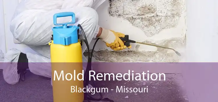 Mold Remediation Blackgum - Missouri