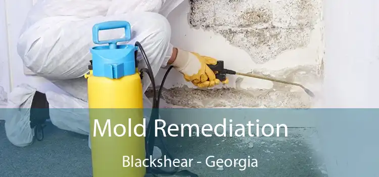 Mold Remediation Blackshear - Georgia