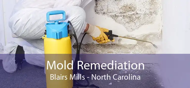 Mold Remediation Blairs Mills - North Carolina