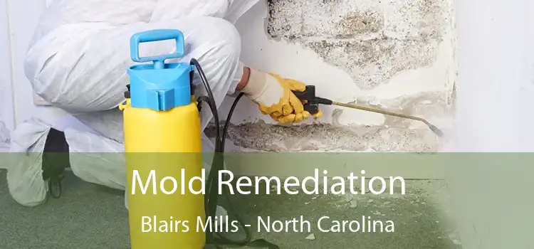 Mold Remediation Blairs Mills - North Carolina