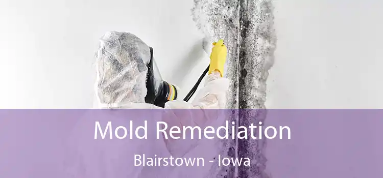 Mold Remediation Blairstown - Iowa