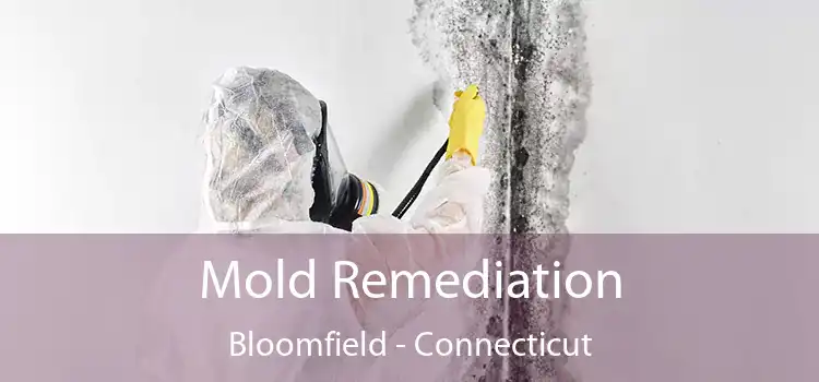 Mold Remediation Bloomfield - Connecticut