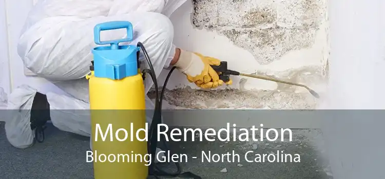 Mold Remediation Blooming Glen - North Carolina