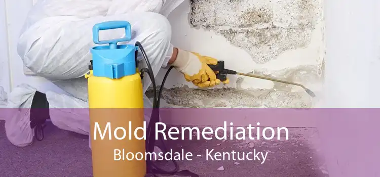 Mold Remediation Bloomsdale - Kentucky