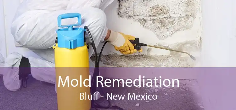 Mold Remediation Bluff - New Mexico