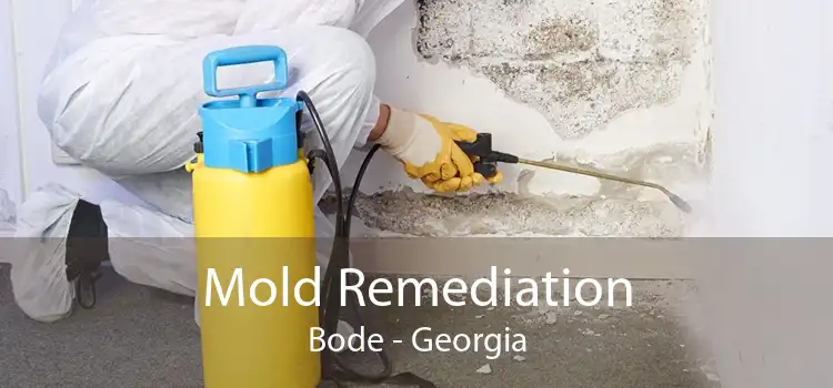 Mold Remediation Bode - Georgia