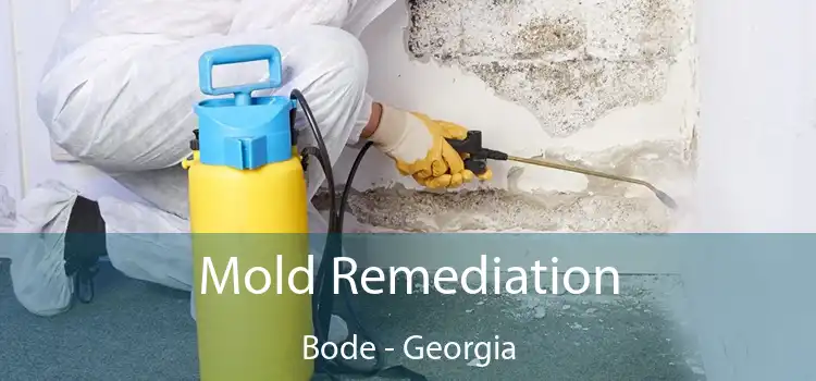 Mold Remediation Bode - Georgia