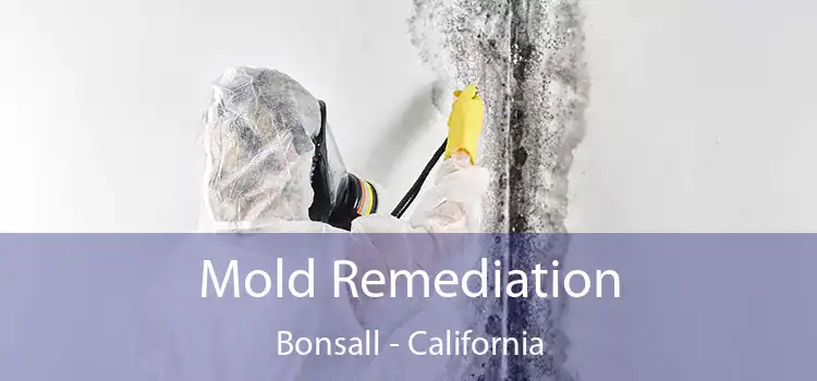 Mold Remediation Bonsall - California