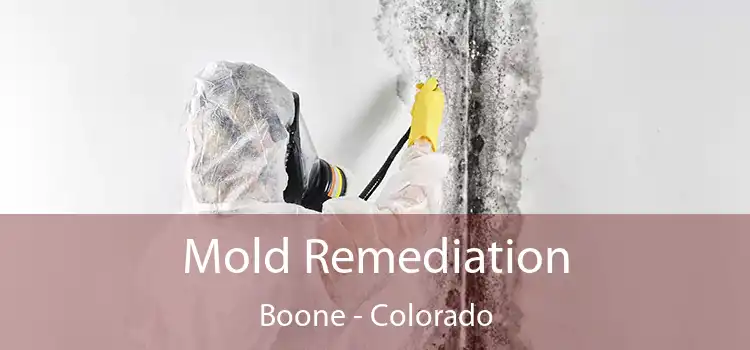 Mold Remediation Boone - Colorado