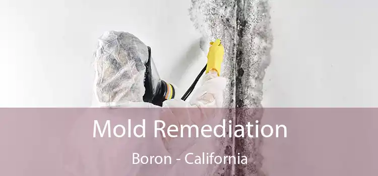 Mold Remediation Boron - California