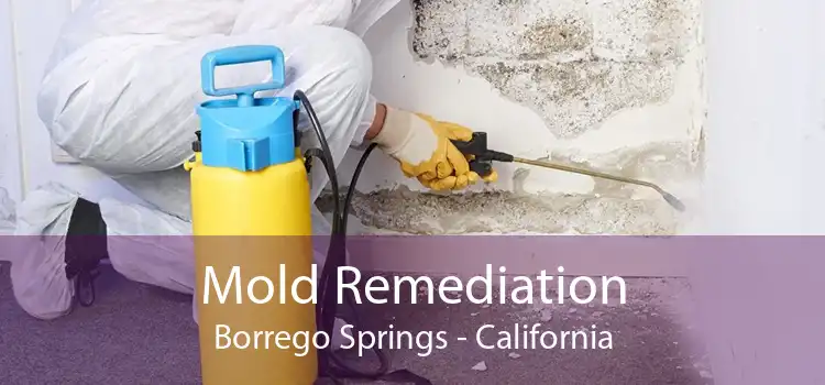 Mold Remediation Borrego Springs - California