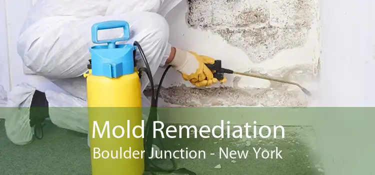 Mold Remediation Boulder Junction - New York