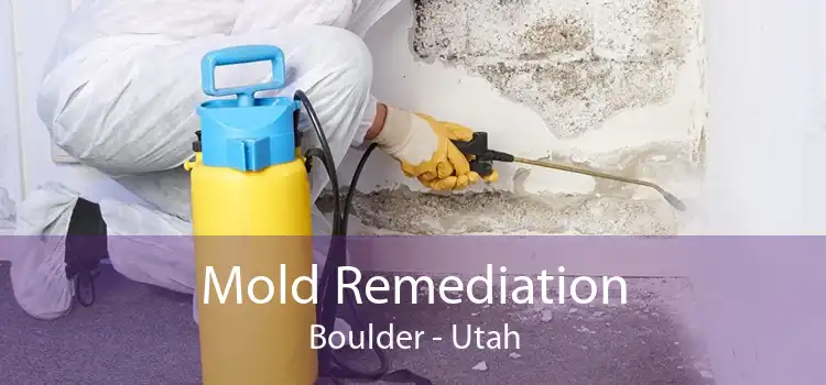 Mold Remediation Boulder - Utah