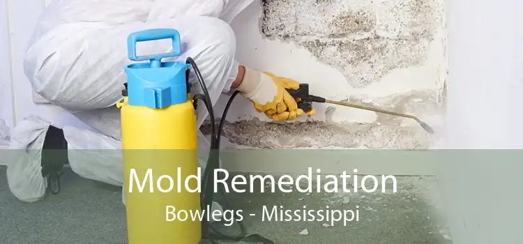 Mold Remediation Bowlegs - Mississippi