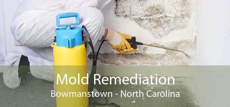 Mold Remediation Bowmanstown - North Carolina