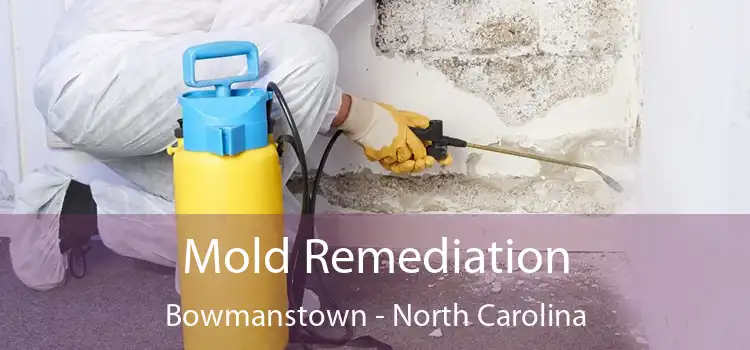 Mold Remediation Bowmanstown - North Carolina