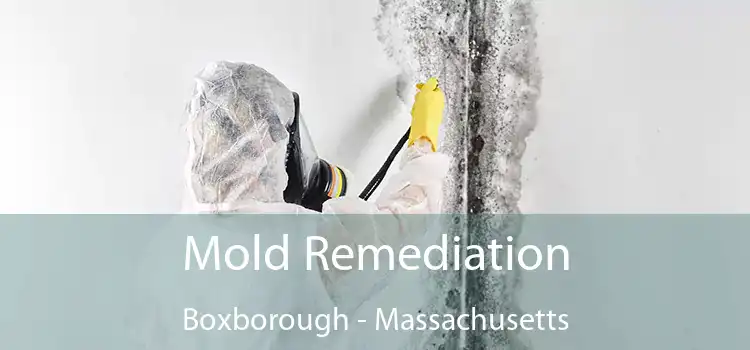 Mold Remediation Boxborough - Massachusetts