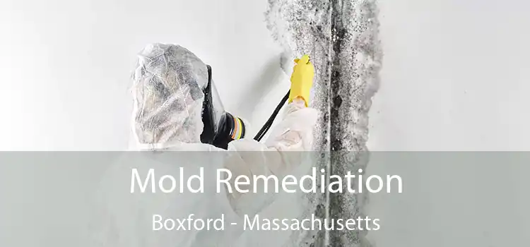 Mold Remediation Boxford - Massachusetts