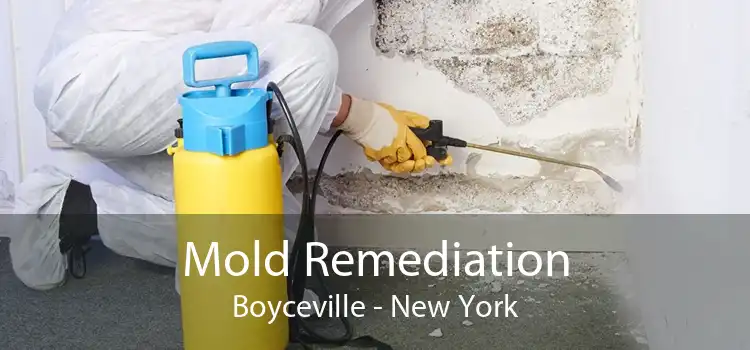 Mold Remediation Boyceville - New York