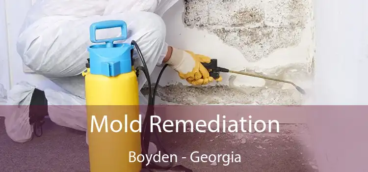 Mold Remediation Boyden - Georgia