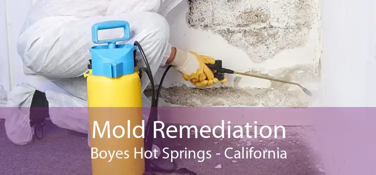 Mold Remediation Boyes Hot Springs - California