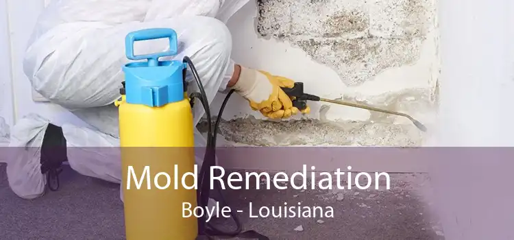 Mold Remediation Boyle - Louisiana