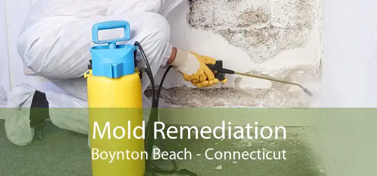 Mold Remediation Boynton Beach - Connecticut