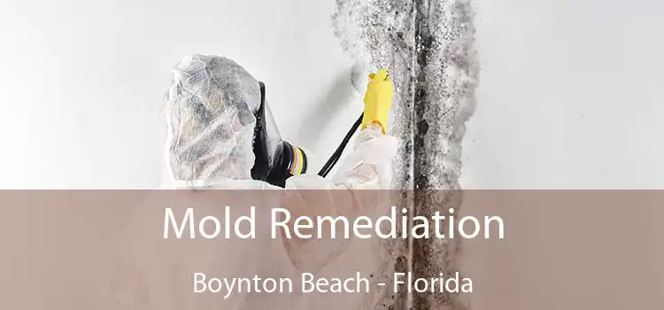 Mold Remediation Boynton Beach - Florida