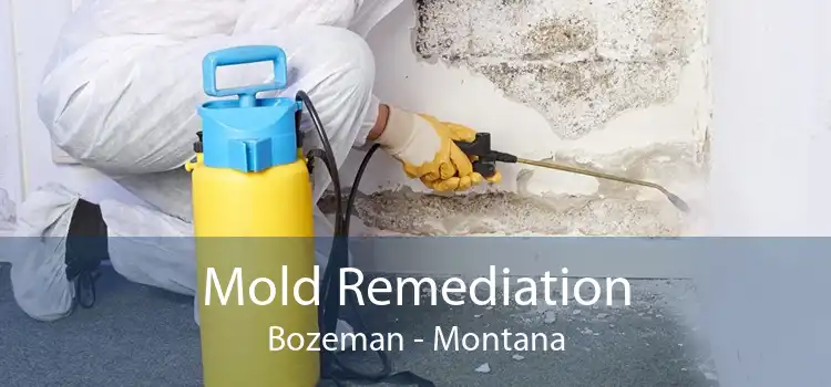 Mold Remediation Bozeman - Montana