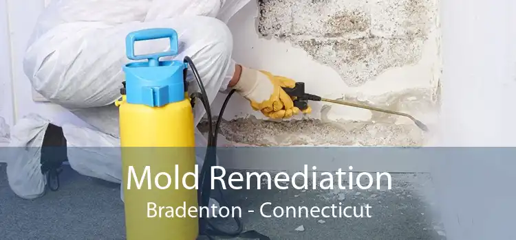 Mold Remediation Bradenton - Connecticut