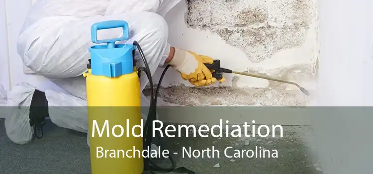 Mold Remediation Branchdale - North Carolina