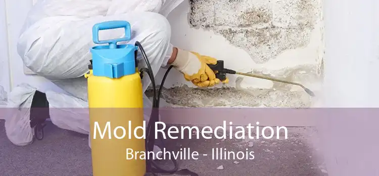 Mold Remediation Branchville - Illinois