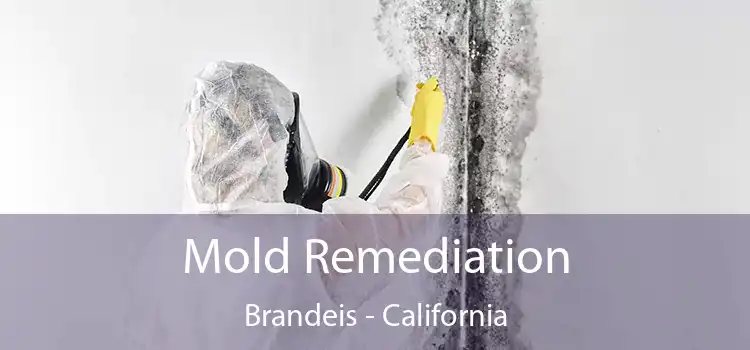 Mold Remediation Brandeis - California