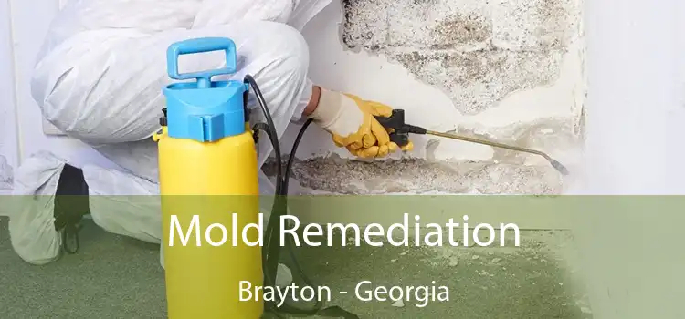 Mold Remediation Brayton - Georgia