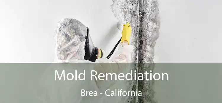 Mold Remediation Brea - California