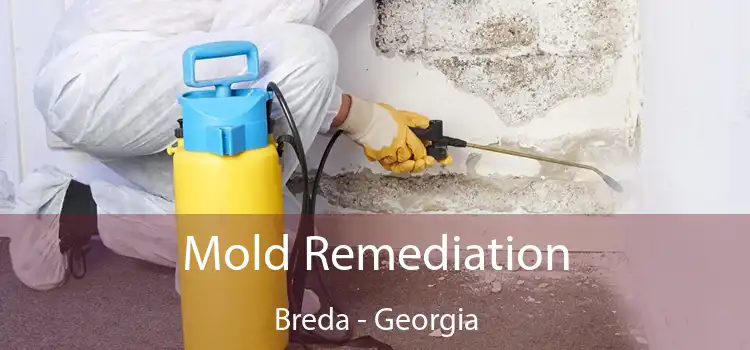 Mold Remediation Breda - Georgia