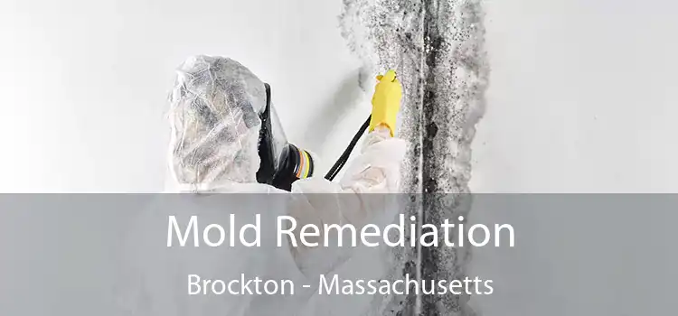 Mold Remediation Brockton - Massachusetts