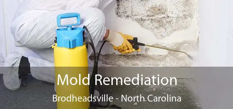 Mold Remediation Brodheadsville - North Carolina