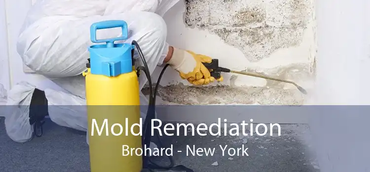 Mold Remediation Brohard - New York