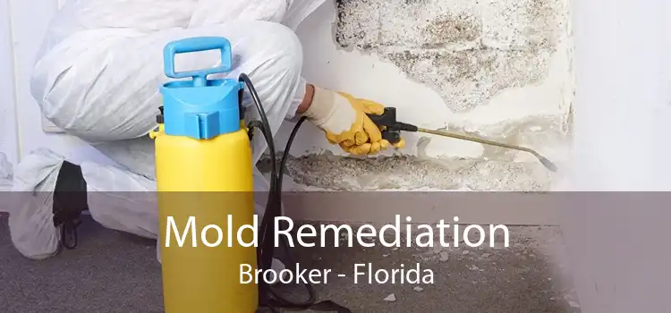 Mold Remediation Brooker - Florida