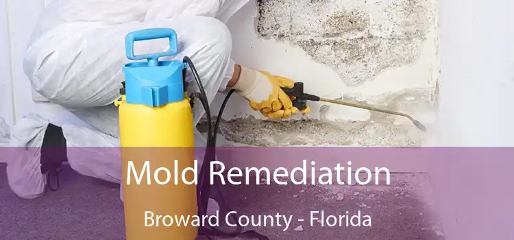 Mold Remediation Broward County - Florida