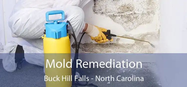 Mold Remediation Buck Hill Falls - North Carolina