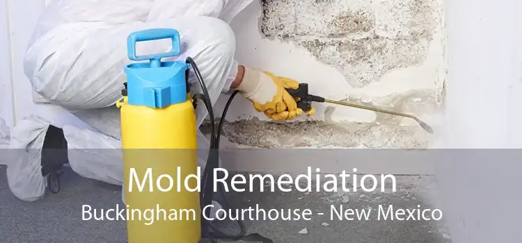 Mold Remediation Buckingham Courthouse - New Mexico